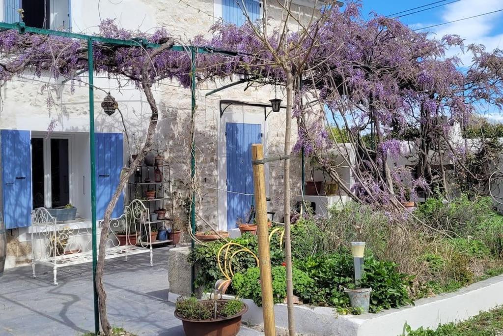 Location Appartement Dans Mas Provencal Монте Екстер'єр фото